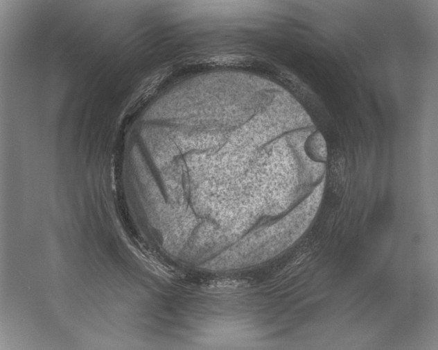 X0000062130734200512301501