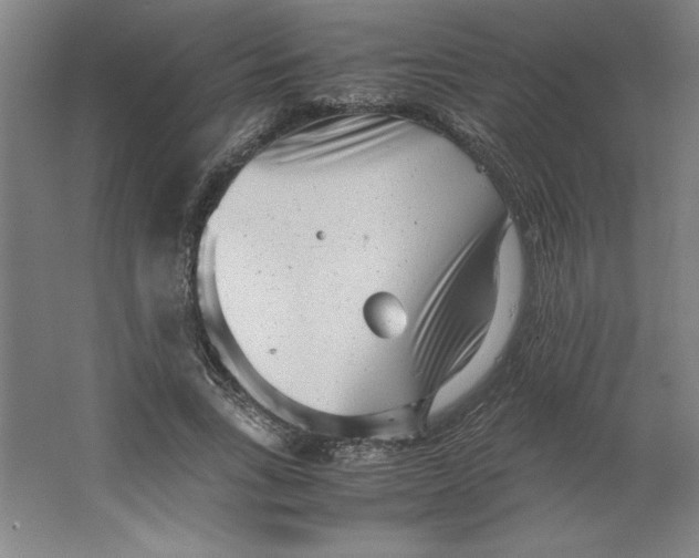 X0000062130735200512301501