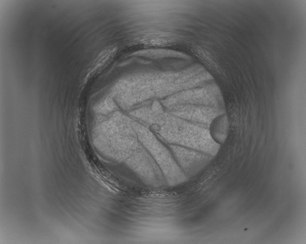 X0000062130738200512301501