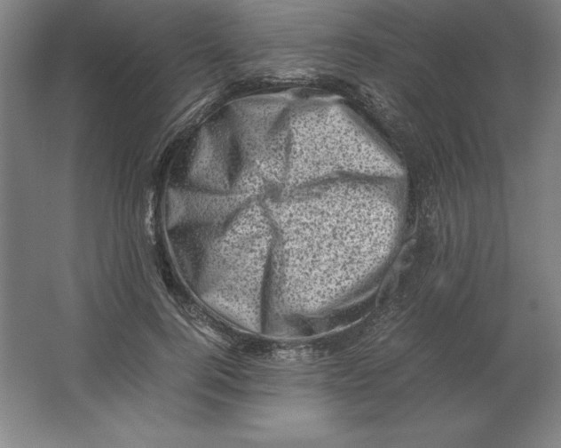 X0000062130744200512301501