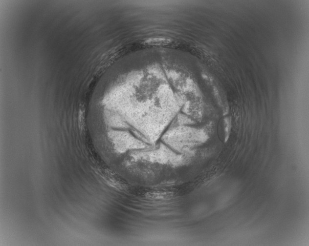 X0000062130745200512301501