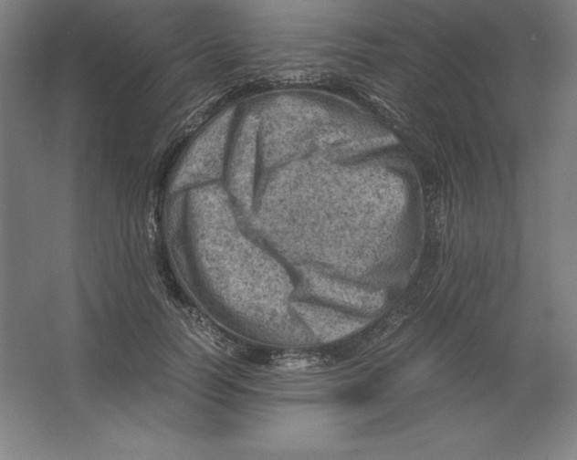 X0000062130746200512301501