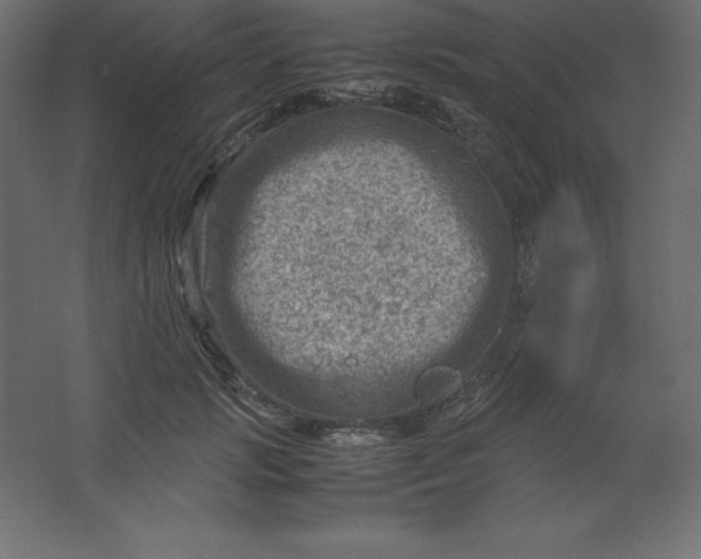 X0000062130749200512301501