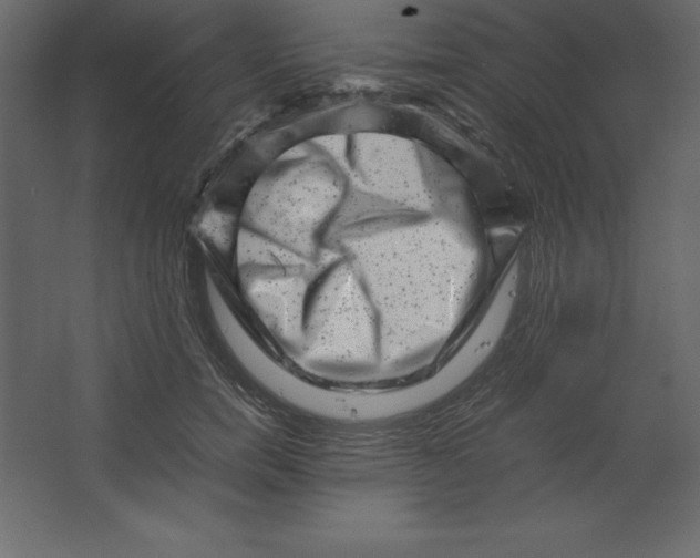 X0000062130750200512301501