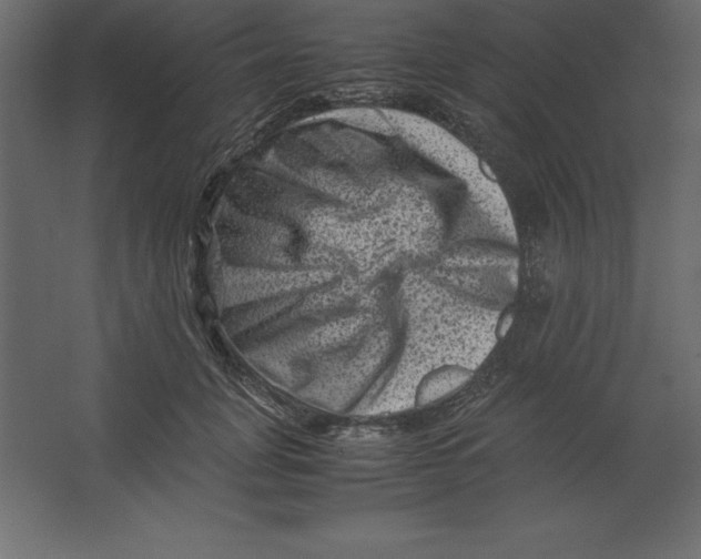 X0000062130751200512301501