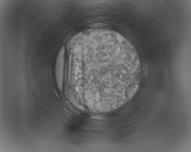 X0000062130753200512301501