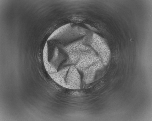 X0000062130755200512301501