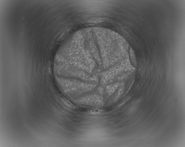 X0000062130758200512301501