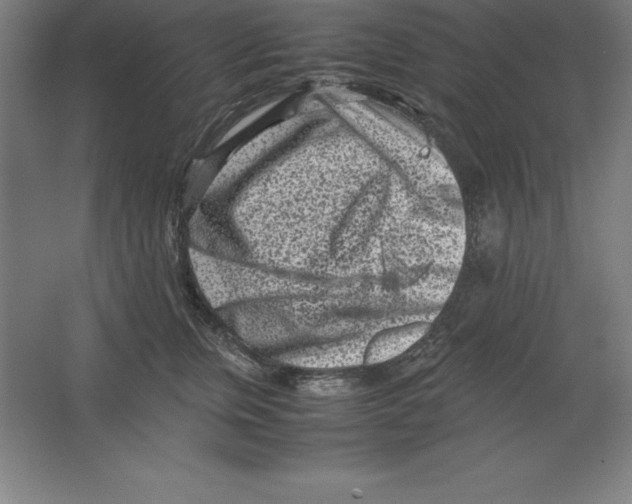 X0000062130759200512301501