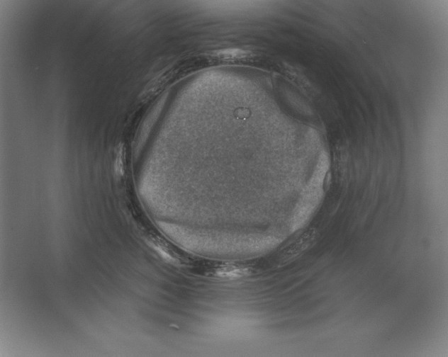 X0000062130760200512301501