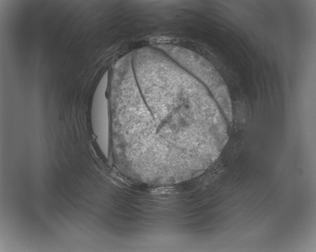 X0000062130761200512301501