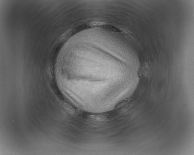 X0000062130763200512301501