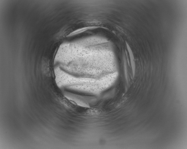 X0000062130764200512301501