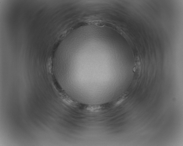 X0000062130767200512301501