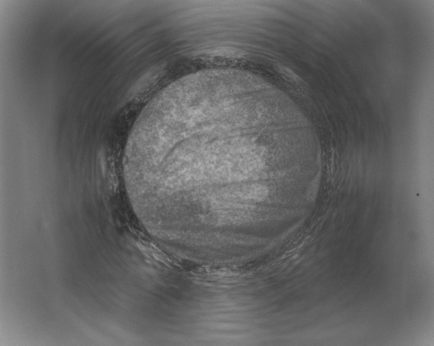 X0000062130774200512301500