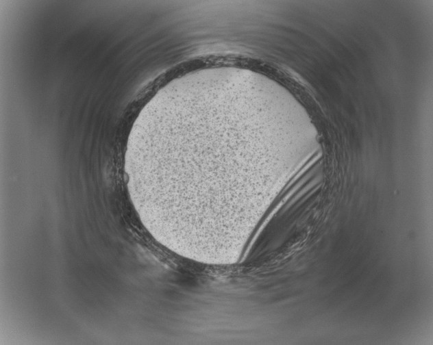 X0000062130775200512301500