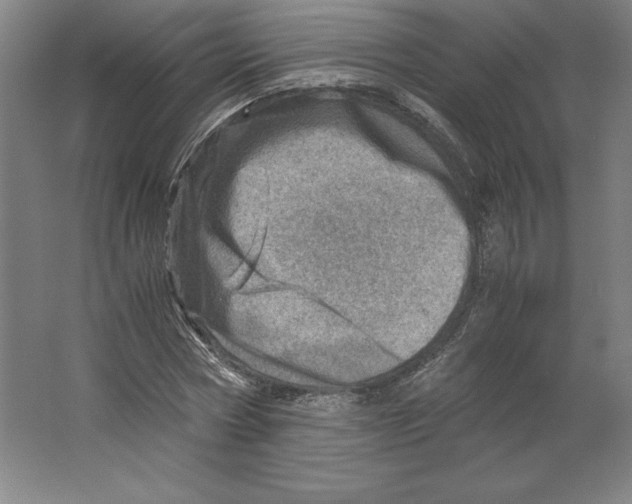 X0000062130778200512301500