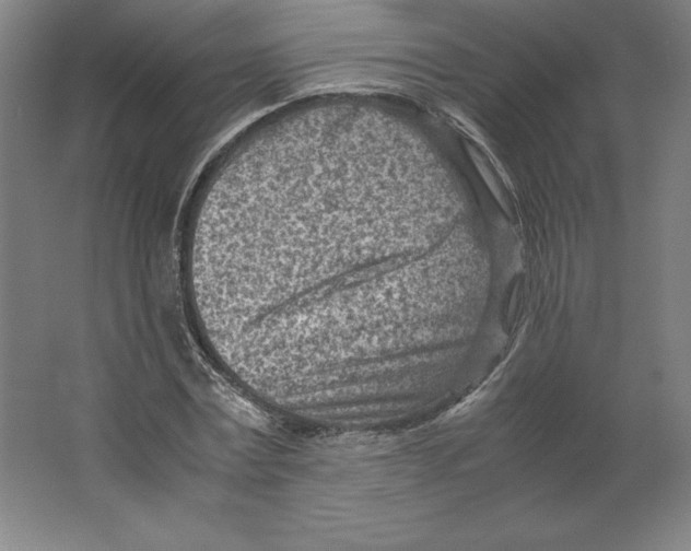 X0000062130779200512301500