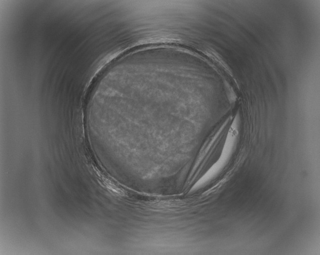 X0000062130781200512301500