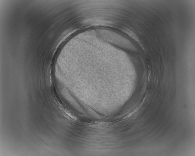 X0000062130782200512301500