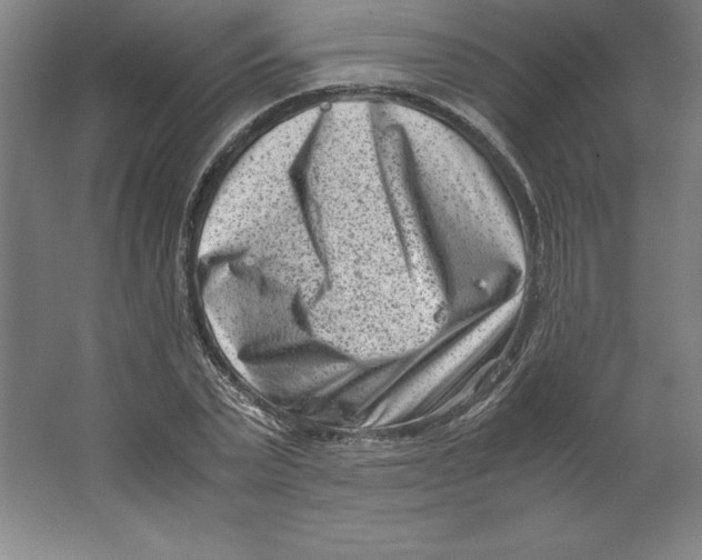 X0000062130783200512301500