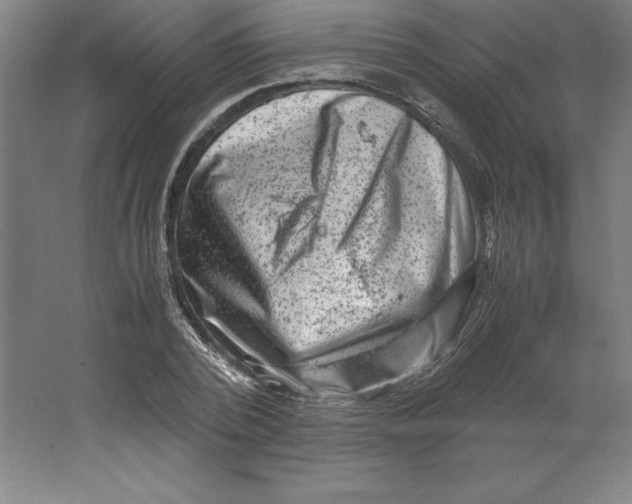 X0000062130784200512301500