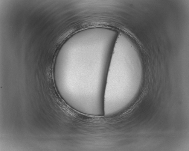 X0000062130785200512301500