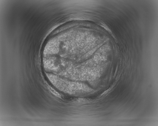 X0000062130787200512301500