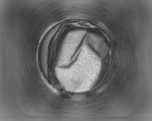 X0000062130788200512301500