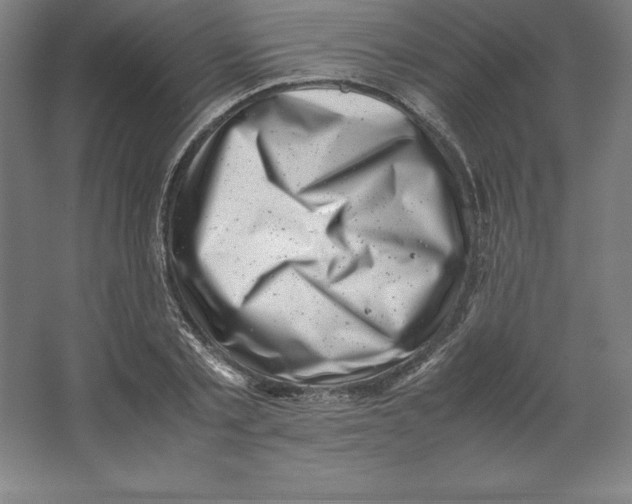 X0000062130789200512301500