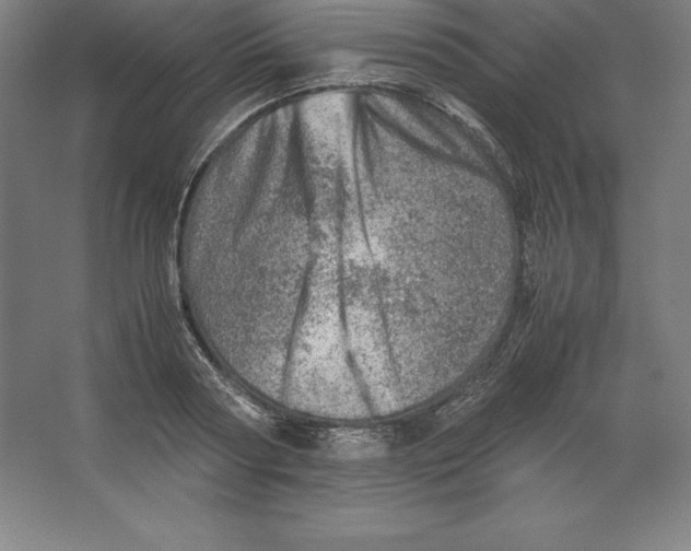 X0000062130794200512301500