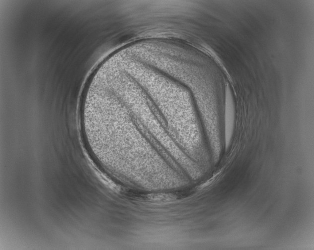 X0000062130795200512301500