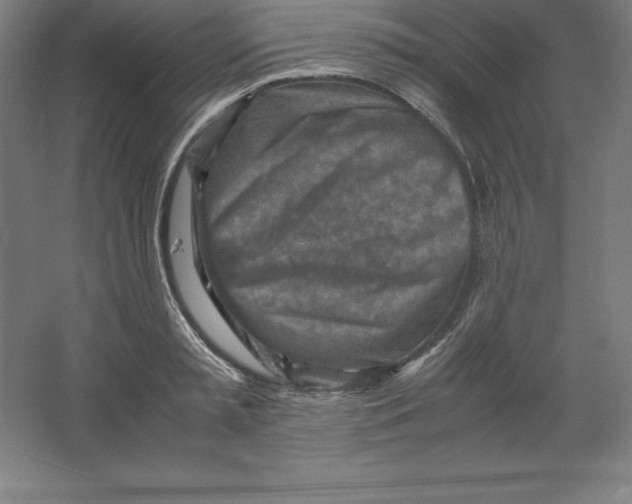 X0000062130797200512301500