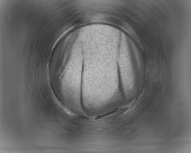 X0000062130798200512301500