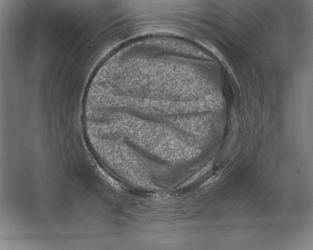 X0000062130799200512301500