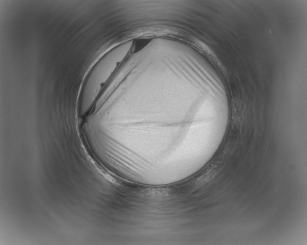 X0000062130802200512301500