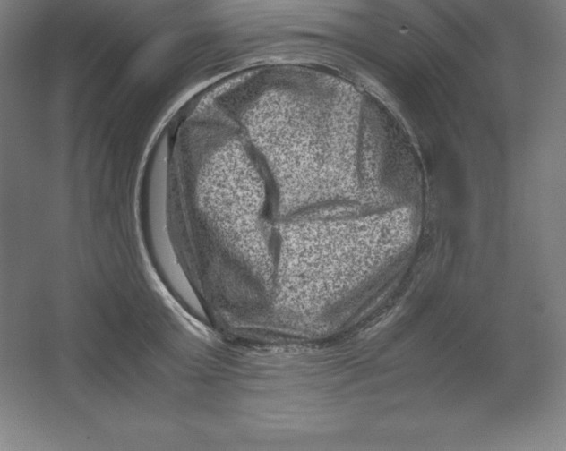 X0000062130803200512301500