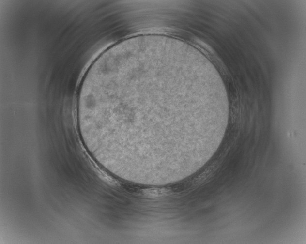 X0000062130804200512301500