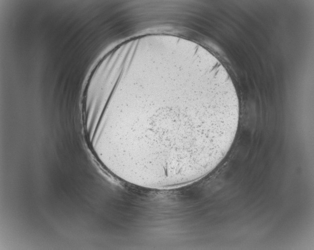 X0000062130808200512301500