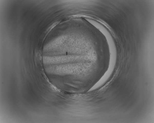 X0000062130809200512301500