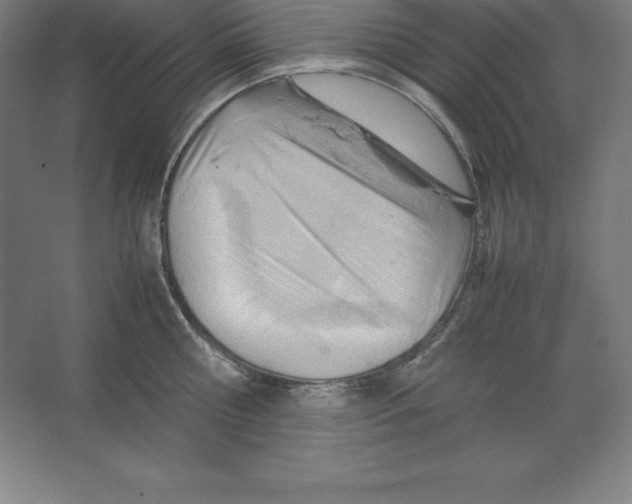 X0000062130810200512301500