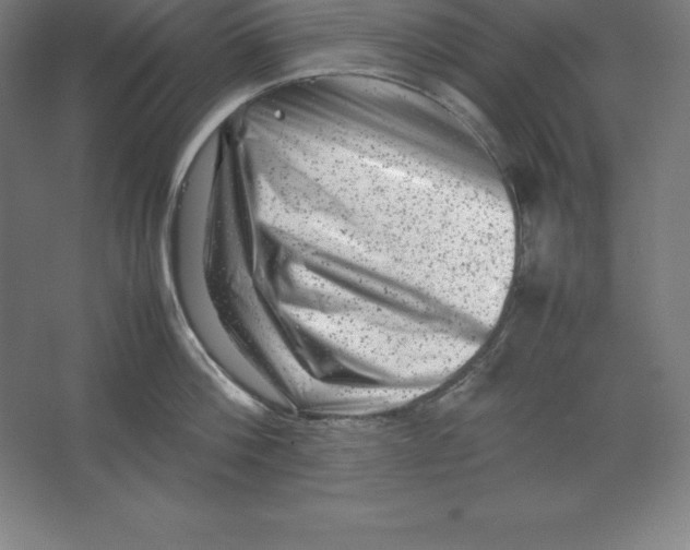 X0000062130812200512301500