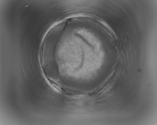 X0000062130813200512301500