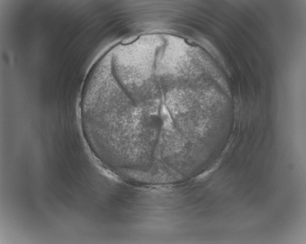 X0000062130814200512301500