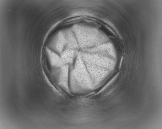 X0000062130815200512301500