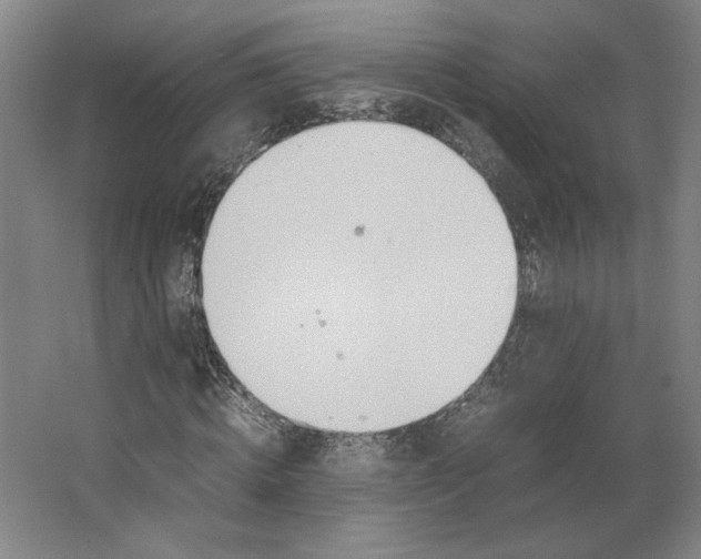 X0000062130820200512301459