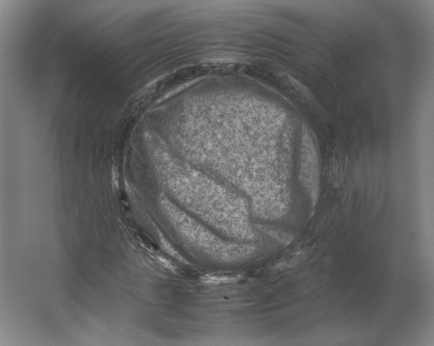 X0000062130821200512301459