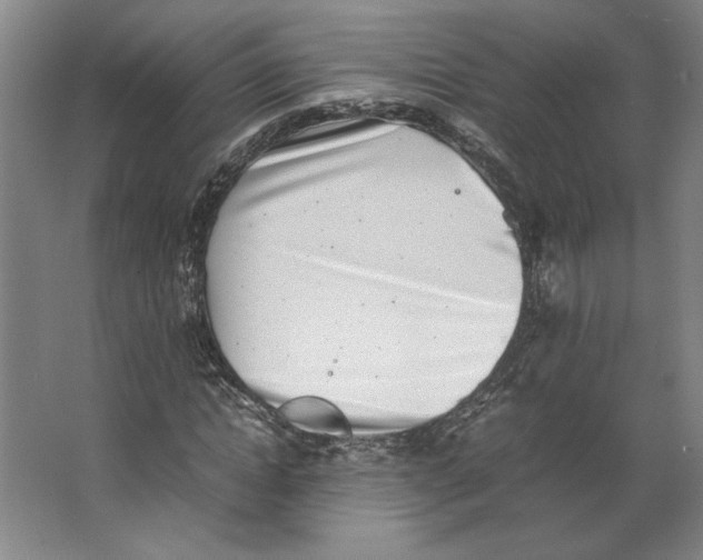 X0000062130822200512301459