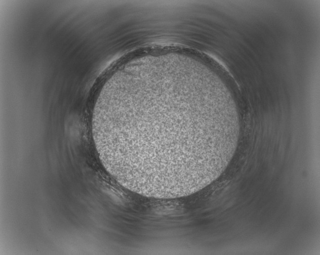 X0000062130823200512301459