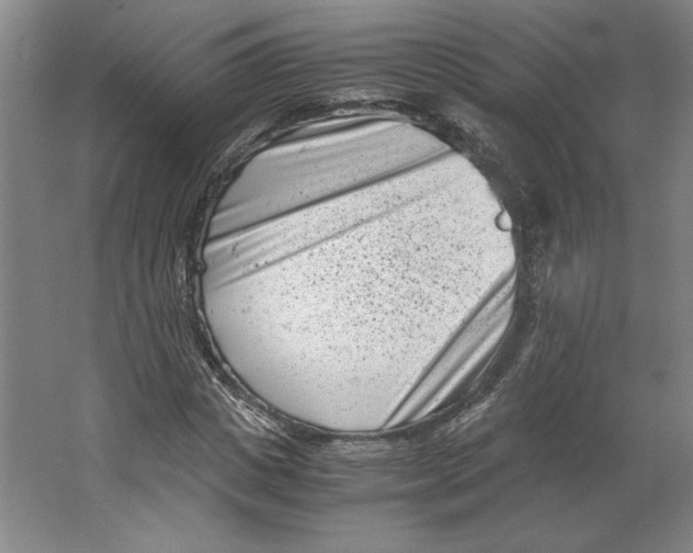 X0000062130825200512301459